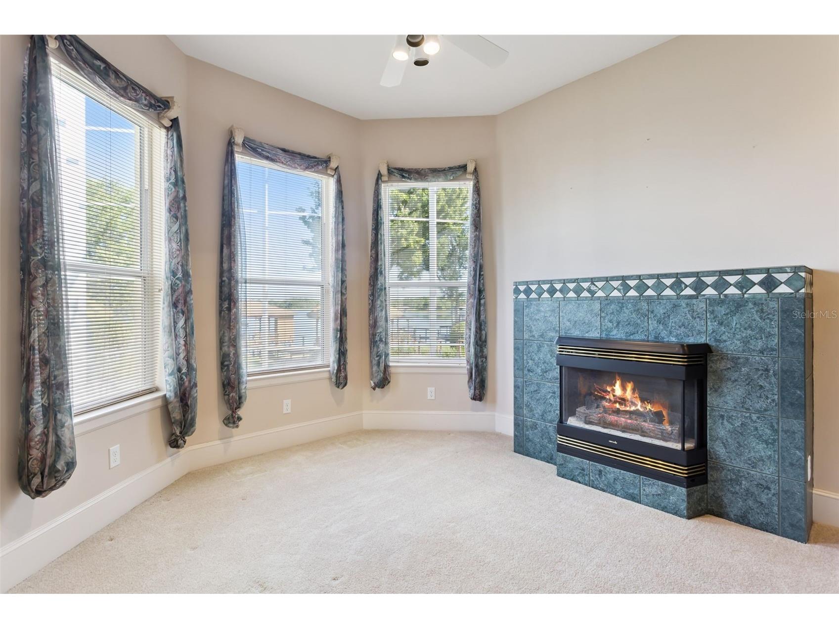1901 Edgewater Drive Mount Dora FL 32757 - LAKE LOCH LEVEN G5114826 image22