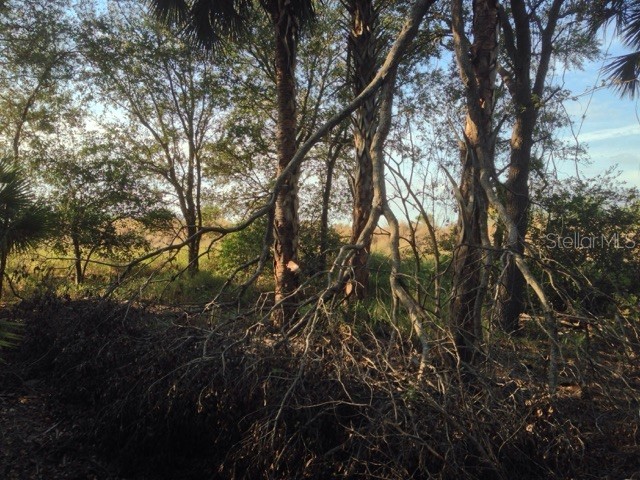 1901 Graham Road Punta Gorda FL 33982 C7509500 image13