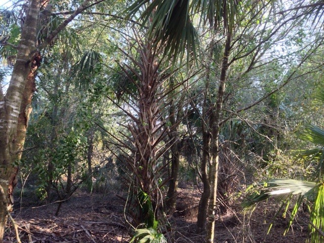 1901 Graham Road Punta Gorda FL 33982 C7509500 image15