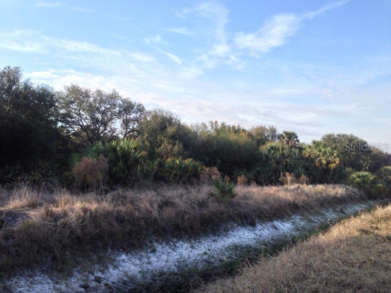 1901 Graham Road Punta Gorda FL 33982 C7509500 image21