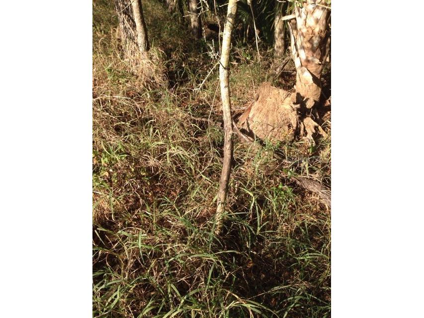 1901 Graham Road Punta Gorda FL 33982 C7509500 image22