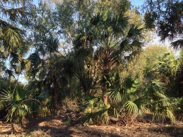 1901 Graham Road Punta Gorda FL 33982 C7509500 image9