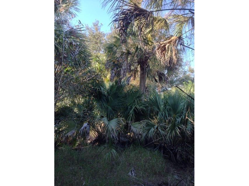 1901 Graham Road Punta Gorda FL 33982 C7527460 image13