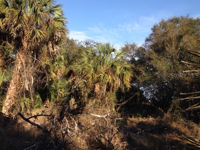 1901 Graham Road Punta Gorda FL 33982 C7527460 image18