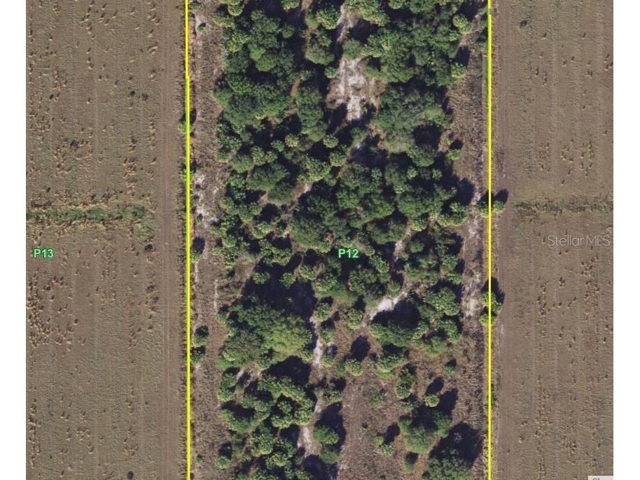 1901 Graham Road Punta Gorda FL 33982 C7527460 image21