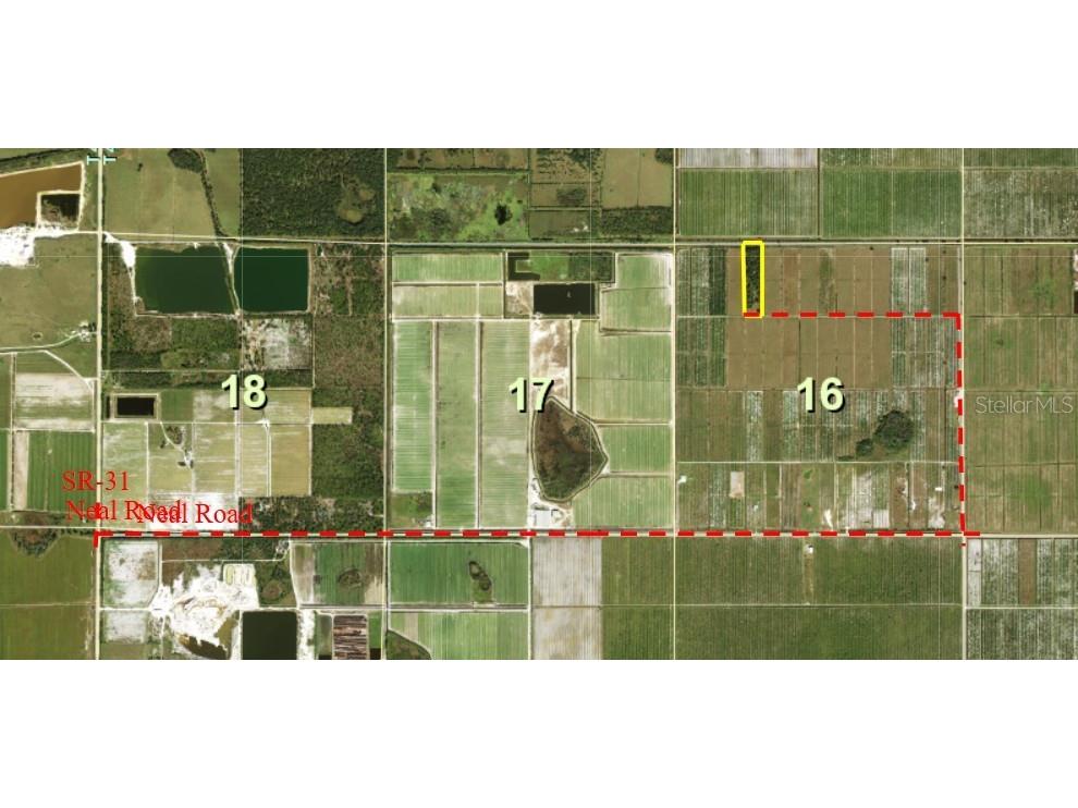 1901 Graham Road Punta Gorda FL 33982 C7527460 image3