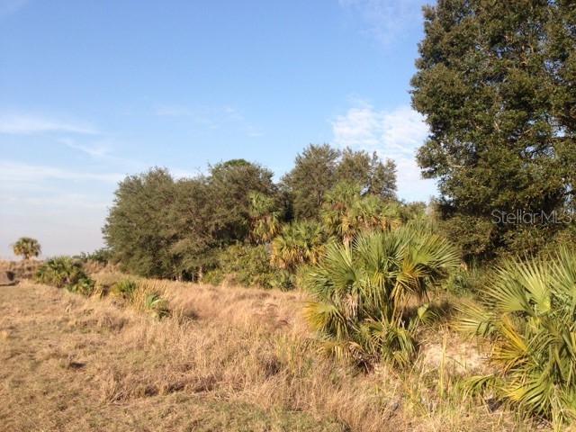 1901 Graham Road Punta Gorda FL 33982 C7527460 image9