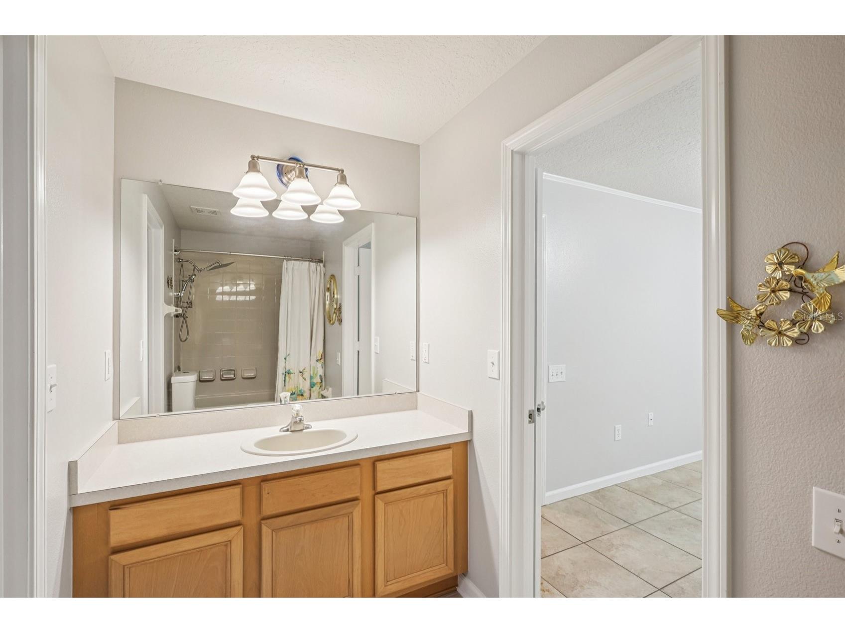 1901 Heartland Circle Valrico FL 33594 TB8498779 image33