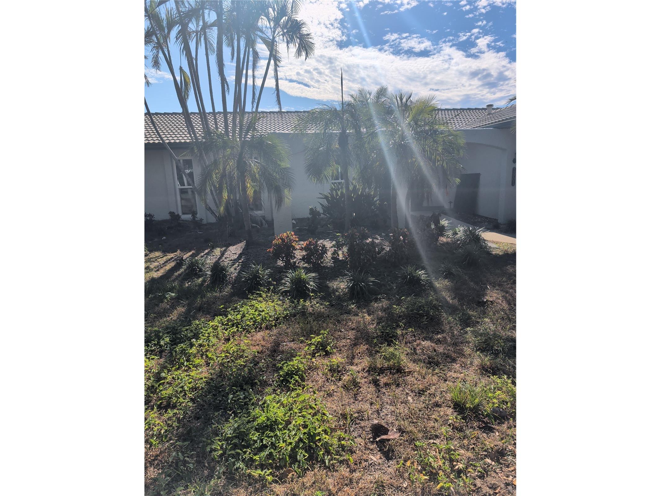 1901 Illinois Avenue NE Saint Petersburg FL 33703 - TAMPA BAY J996958 image1