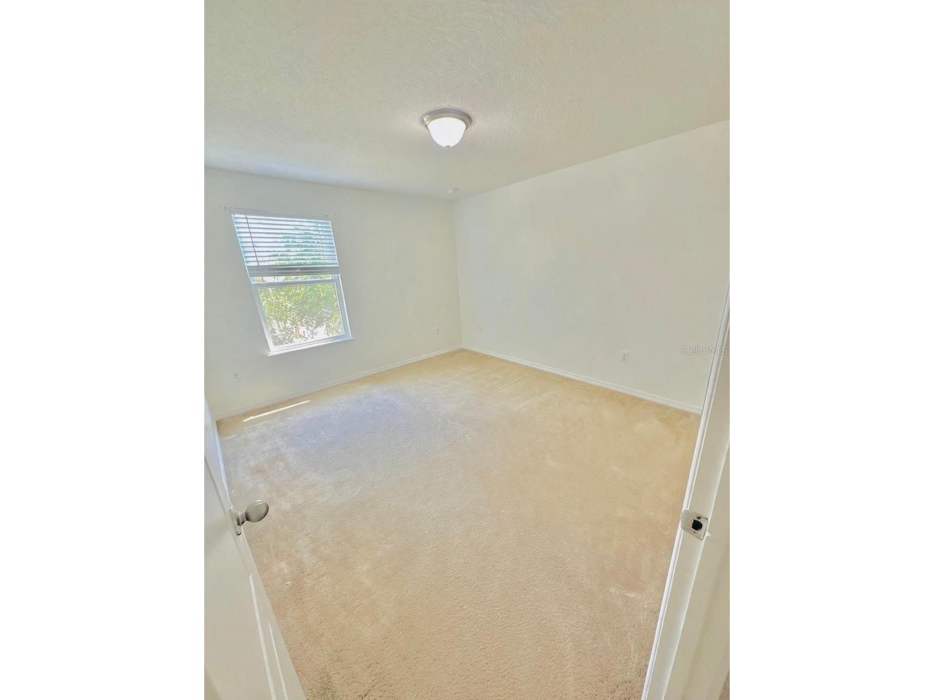 1901 Nations Way Saint Cloud FL 34769 S5146631 image17