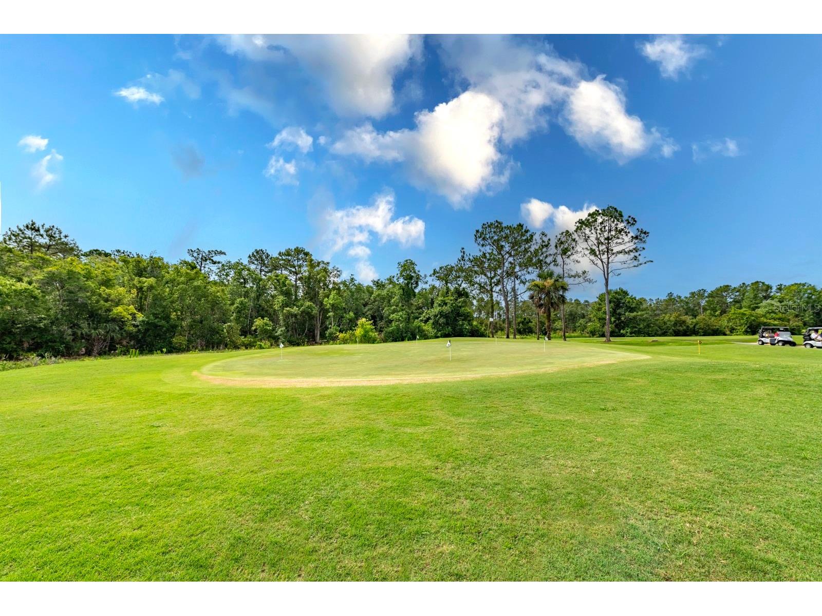 1901 Park Forest Boulevard Mount Dora FL 32757 G5109489 image49