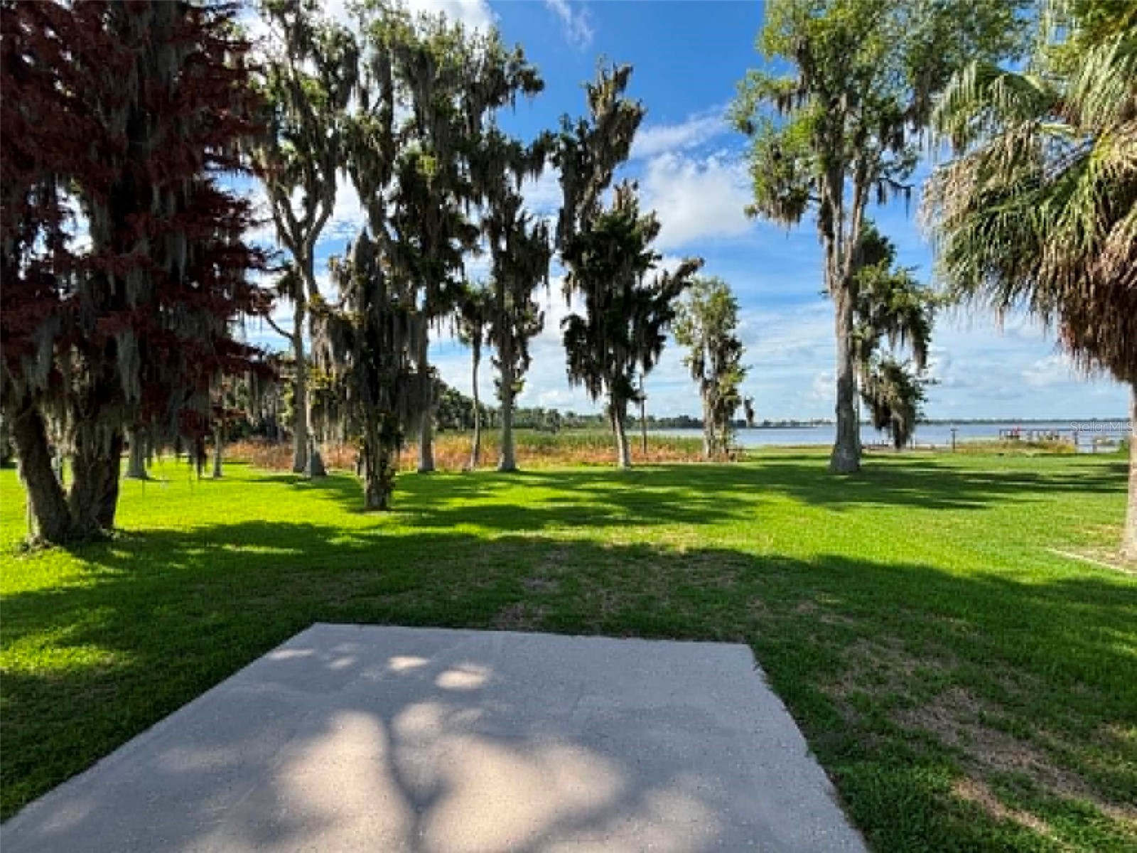 1901 Us Highway 17 92 Lake Alfred FL 33850 P4938898 image23