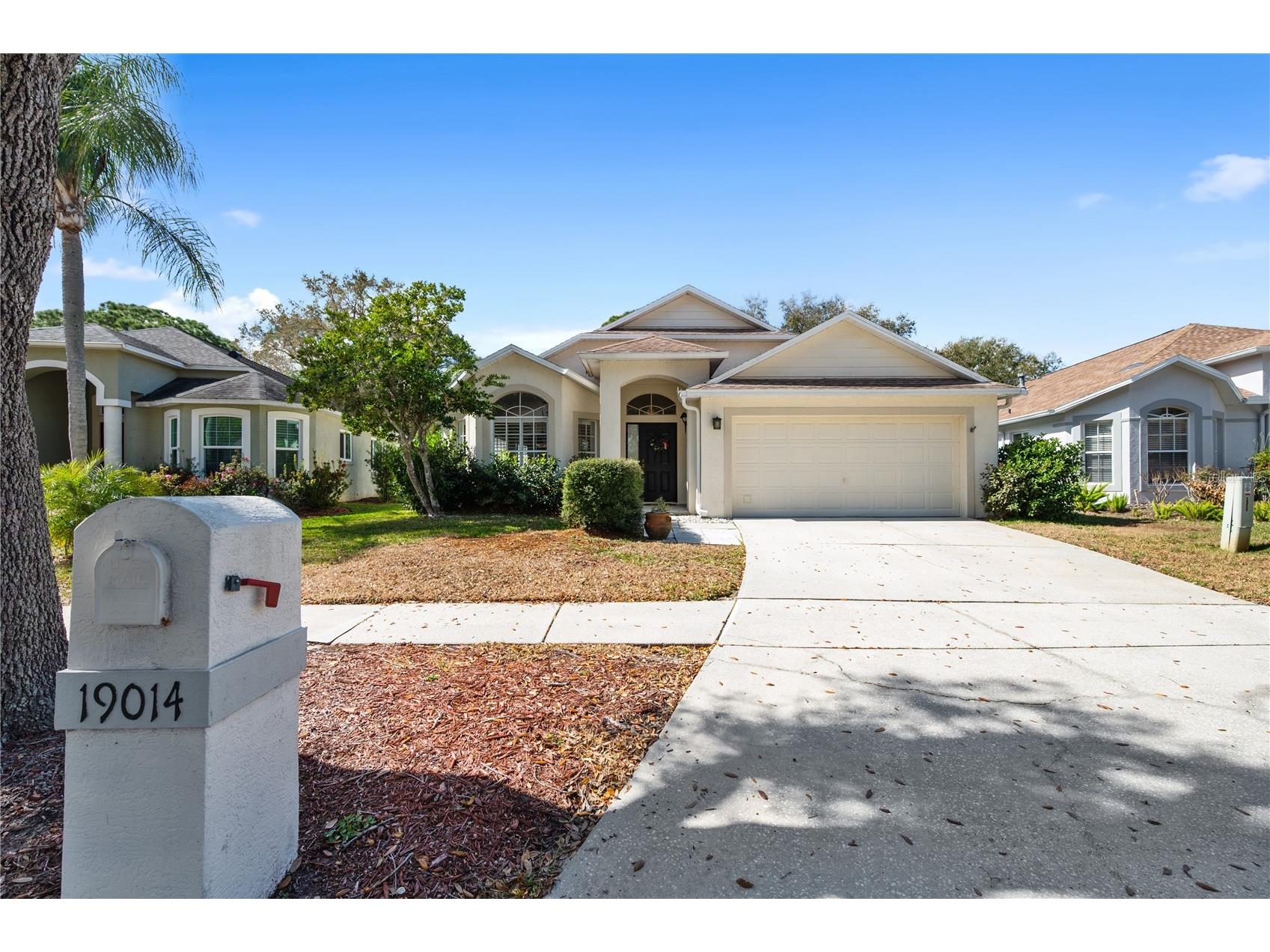 19014 Chemille Drive Lutz FL 33558 TB8479437 image2