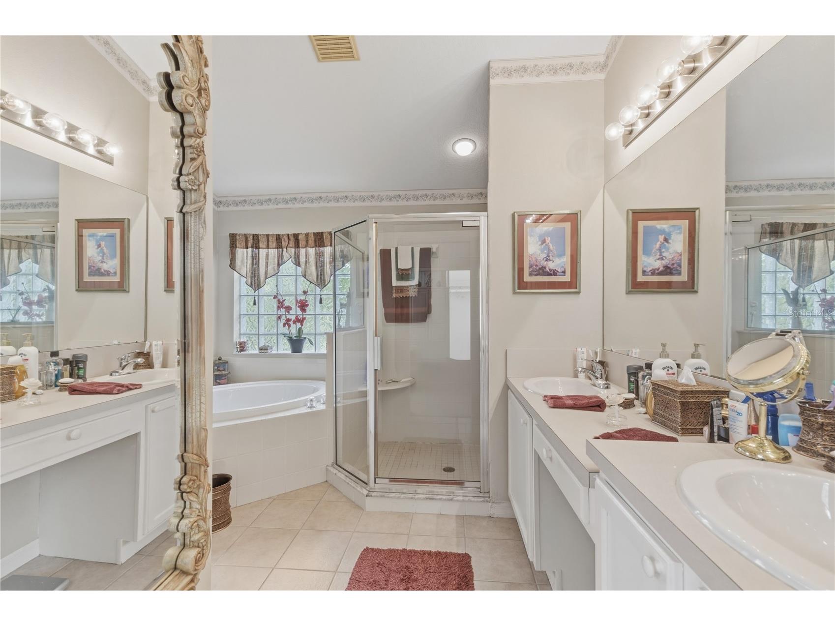 19014 Chemille Drive Lutz FL 33558 TB8479437 image28