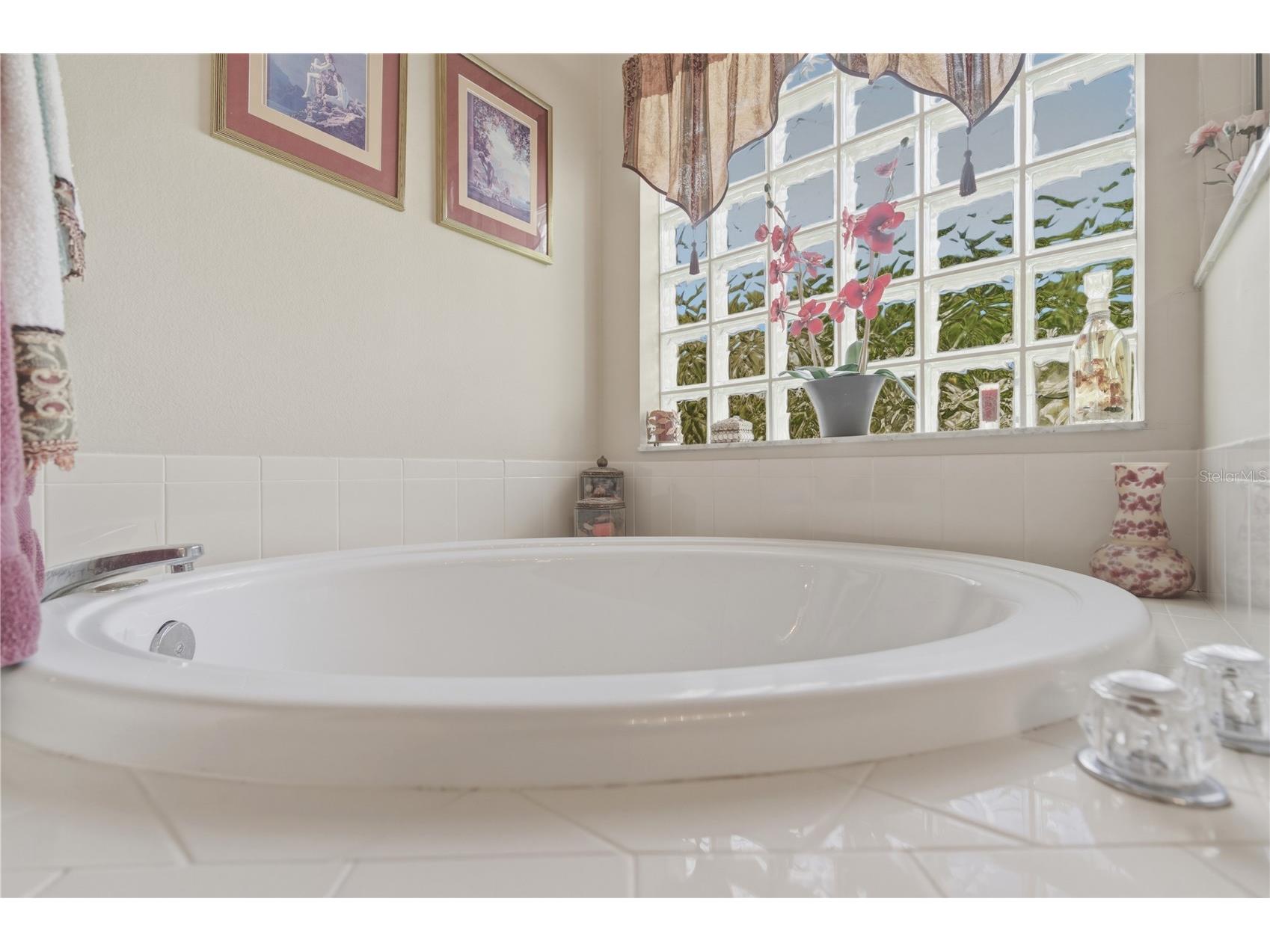 19014 Chemille Drive Lutz FL 33558 TB8479437 image29