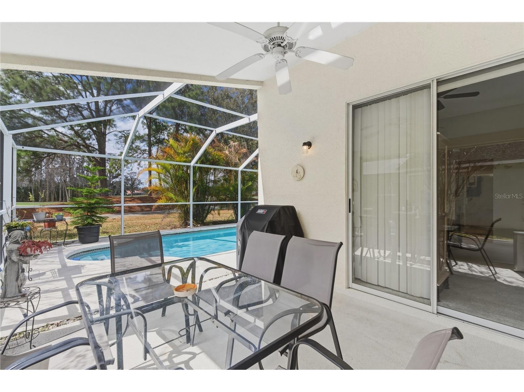 19014 Chemille Drive Lutz FL 33558 TB8479437 image30