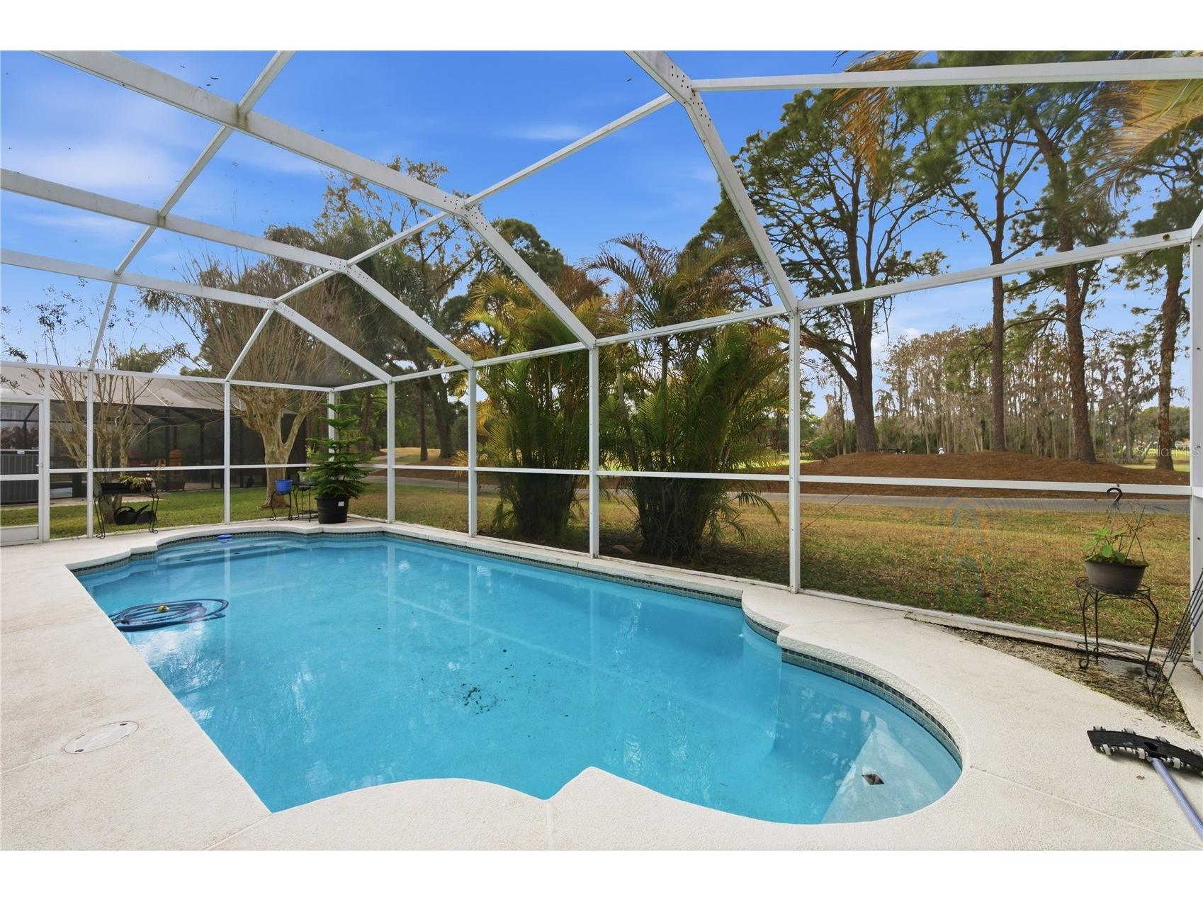 19014 Chemille Drive Lutz FL 33558 TB8479437 image32