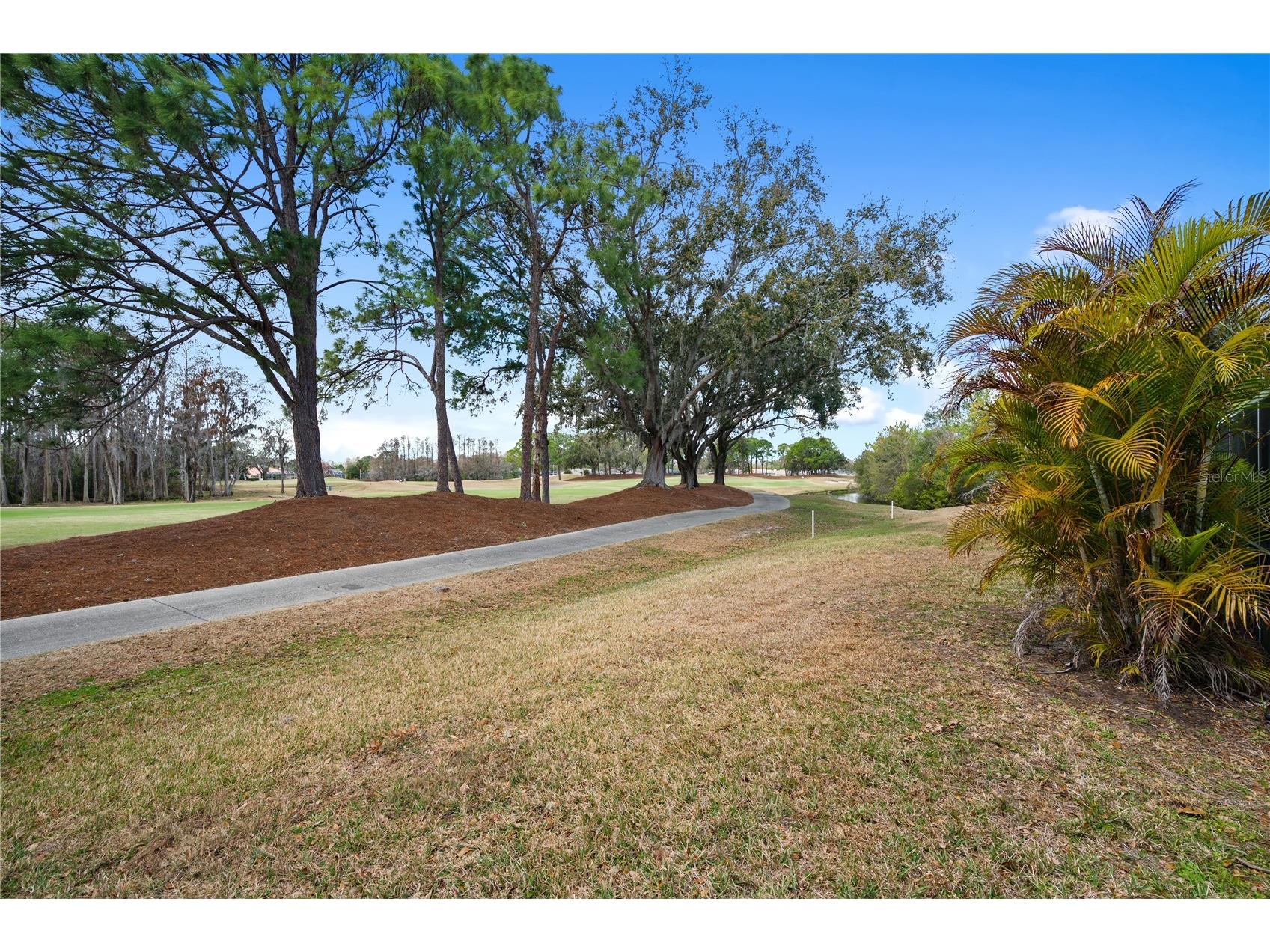 19014 Chemille Drive Lutz FL 33558 TB8479437 image33