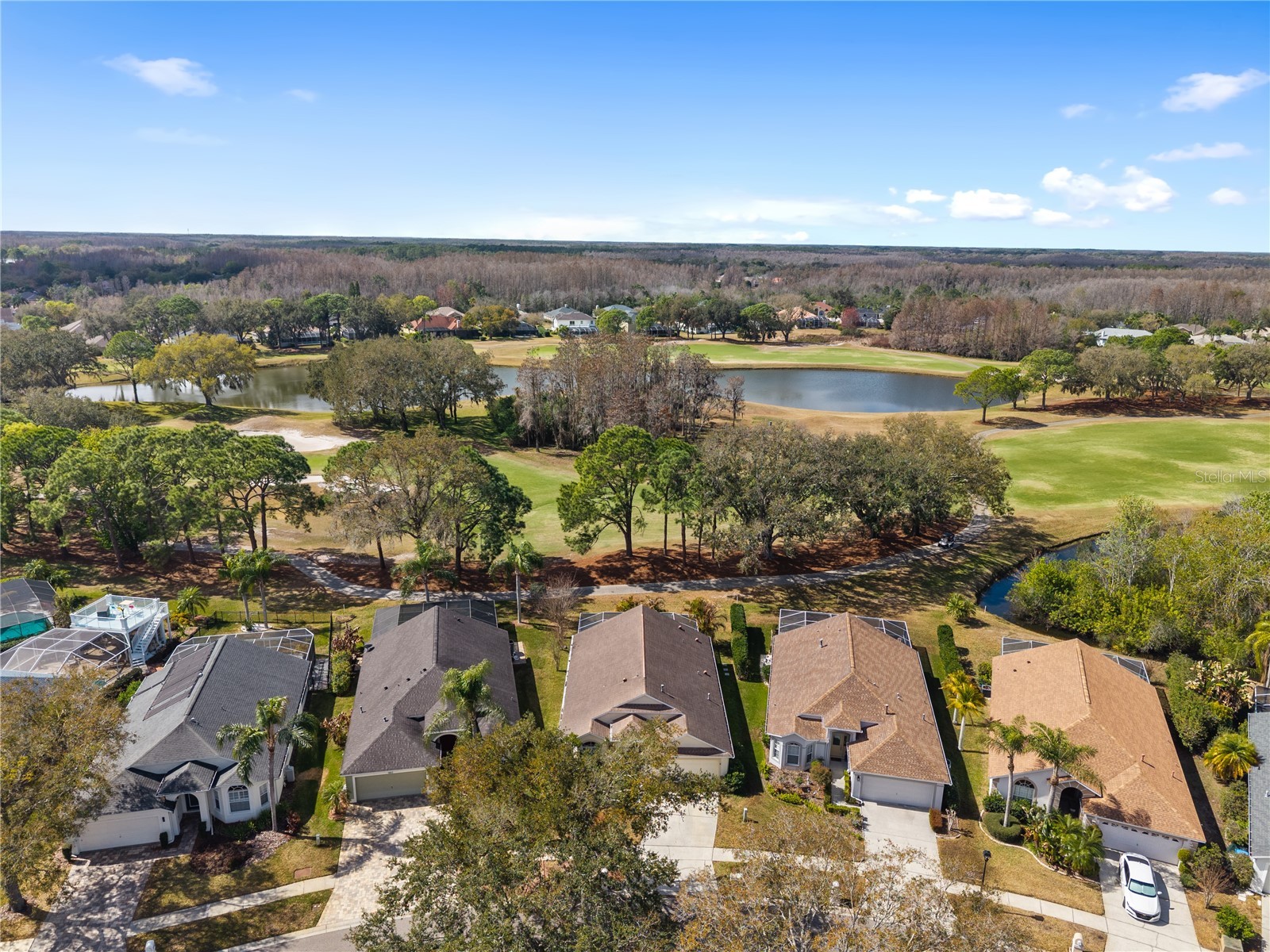 19014 Chemille Drive Lutz FL 33558 TB8479437 image34