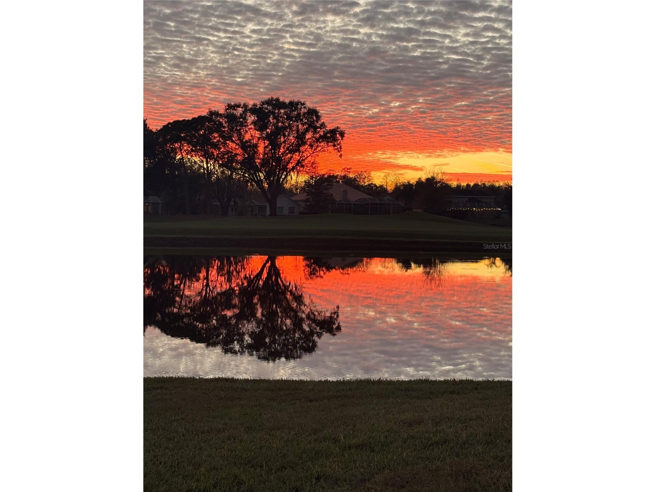 19014 Chemille Drive Lutz FL 33558 TB8479437 image37