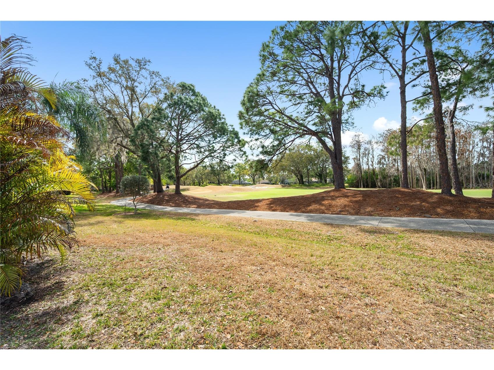 19014 Chemille Drive Lutz FL 33558 TB8479437 image4