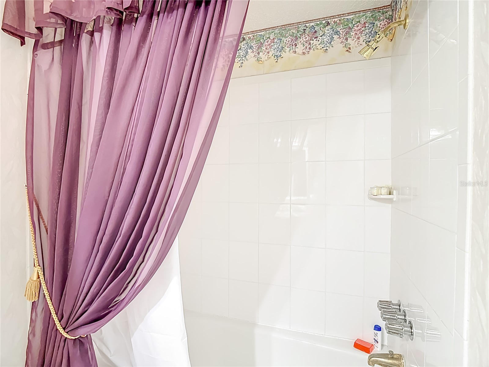 19014 Sunlake Boulevard Lutz FL 33558 L4958380 image28