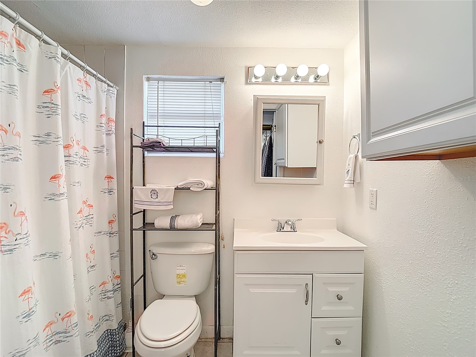 19014 Sunlake Boulevard Lutz FL 33558 L4958380 image45