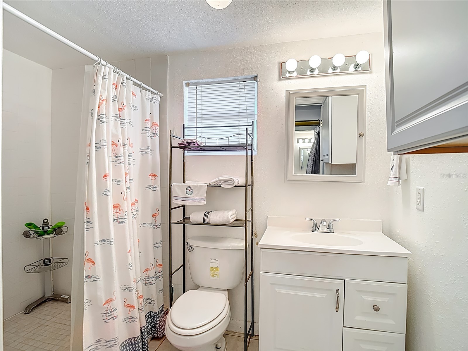 19014 Sunlake Boulevard Lutz FL 33558 L4958380 image46