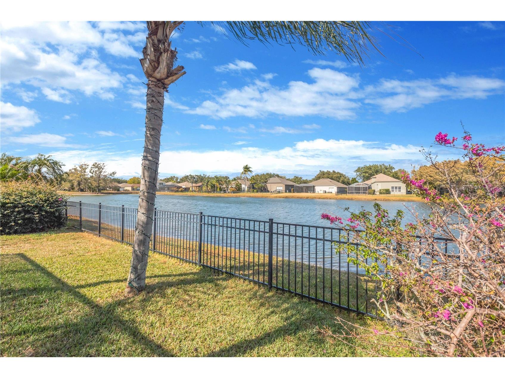 19015 Fern Meadow Loop Lutz FL 33558 - LAKE FERN TB8471272 image40