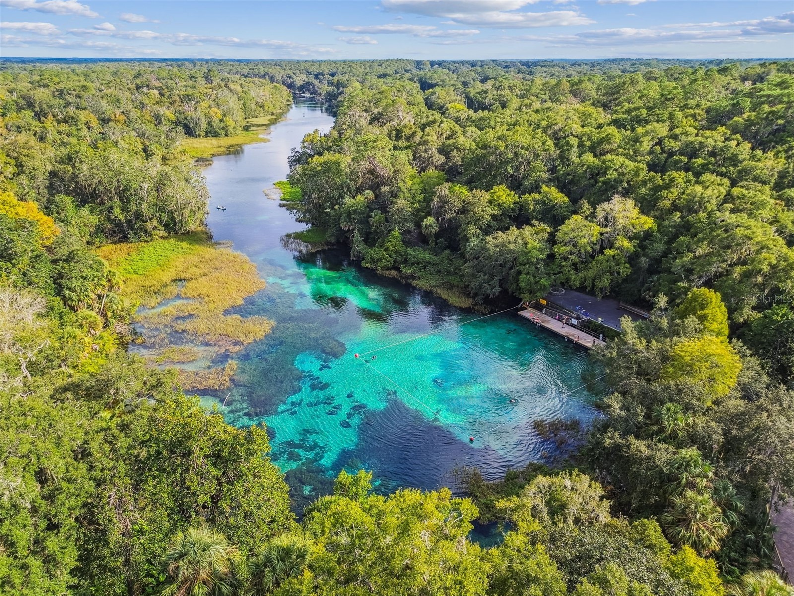 19015 SW 101st Place Dunnellon FL 34432 TB8505826 image2