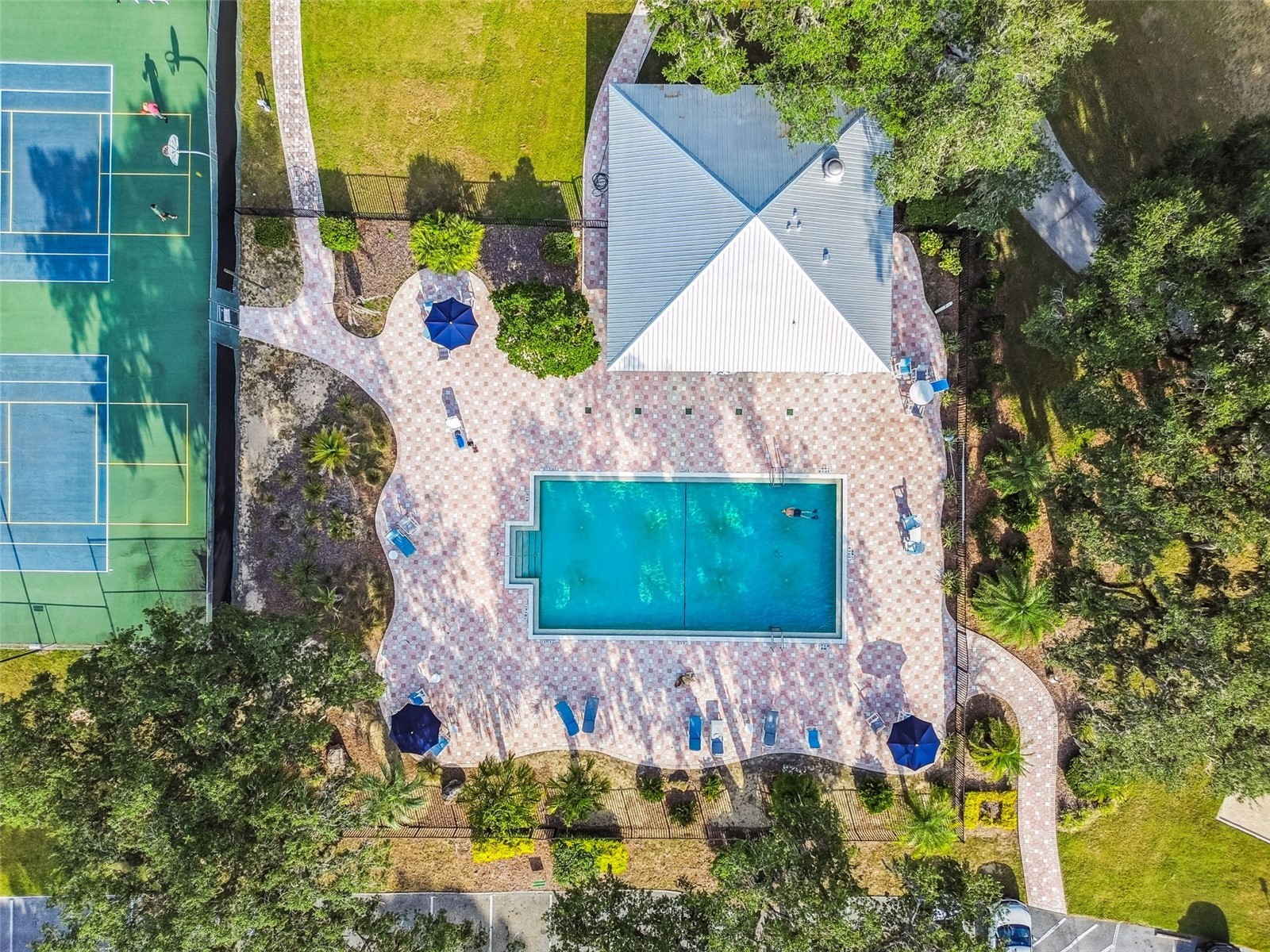 19015 SW 101st Place Dunnellon FL 34432 TB8505826 image53