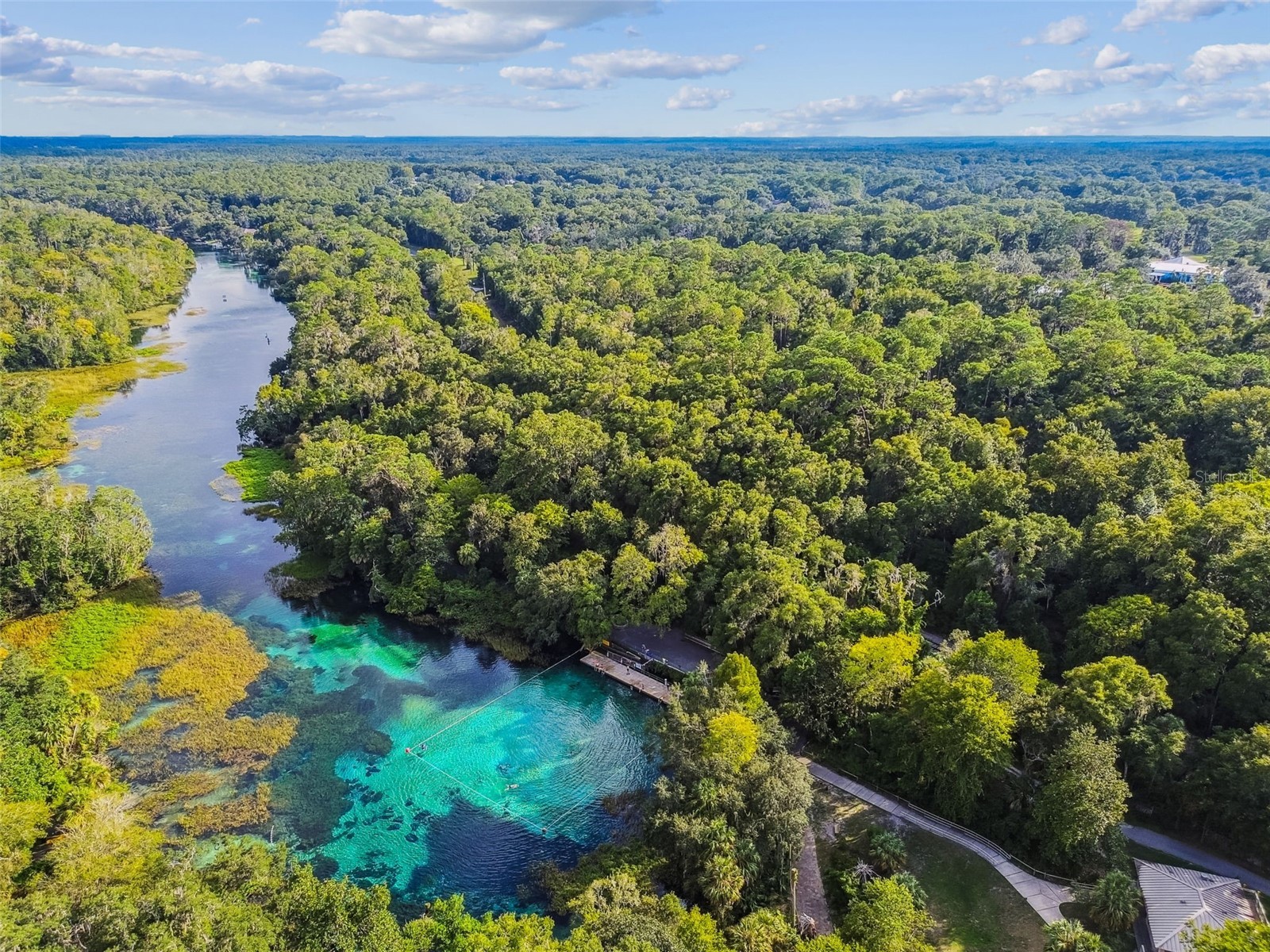 19015 SW 101st Place Dunnellon FL 34432 TB8505826 image65
