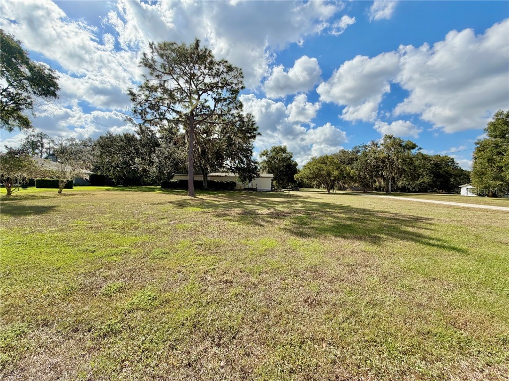 19017 Red Bird Lane Lithia FL 33547 TB8438057 image1