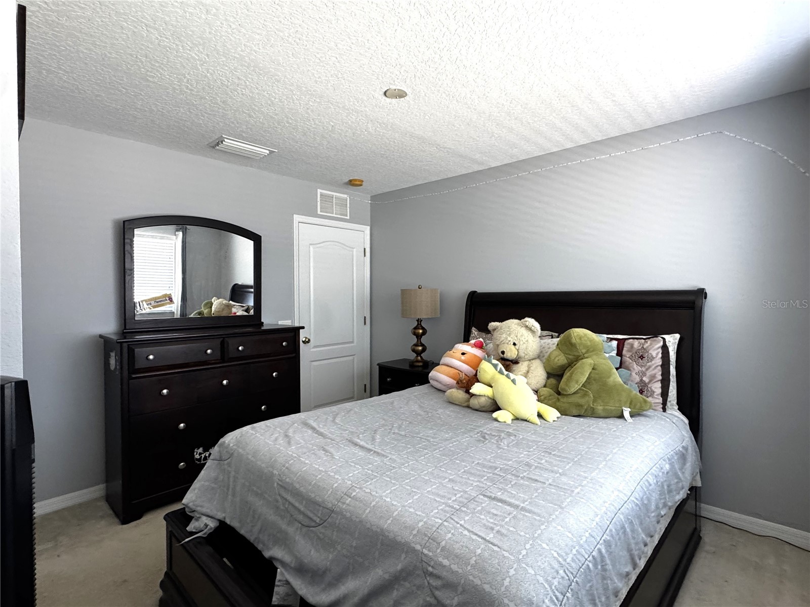 19017 Sunterra Drive Land O Lakes FL 34638 TB8435826 image21