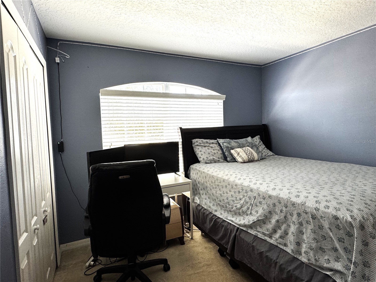 19017 Sunterra Drive Land O Lakes FL 34638 TB8435826 image22