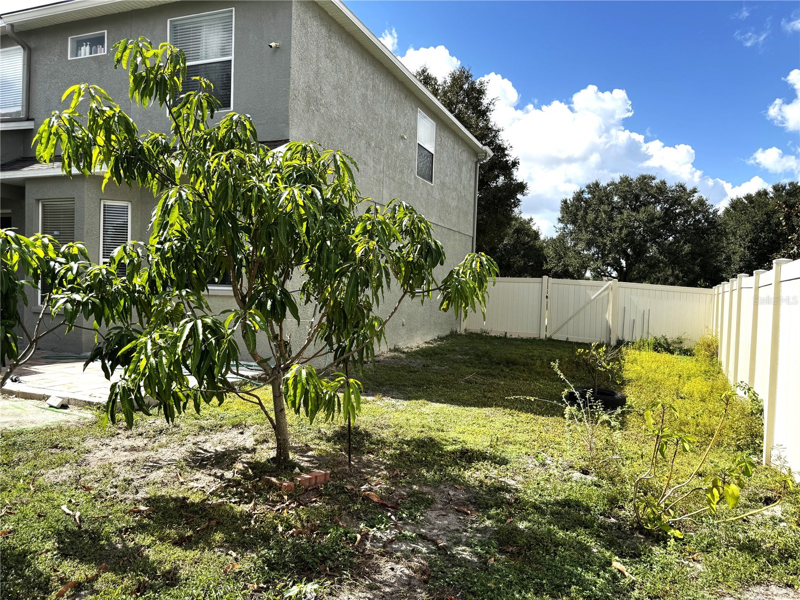 19017 Sunterra Drive Land O Lakes FL 34638 TB8435826 image23