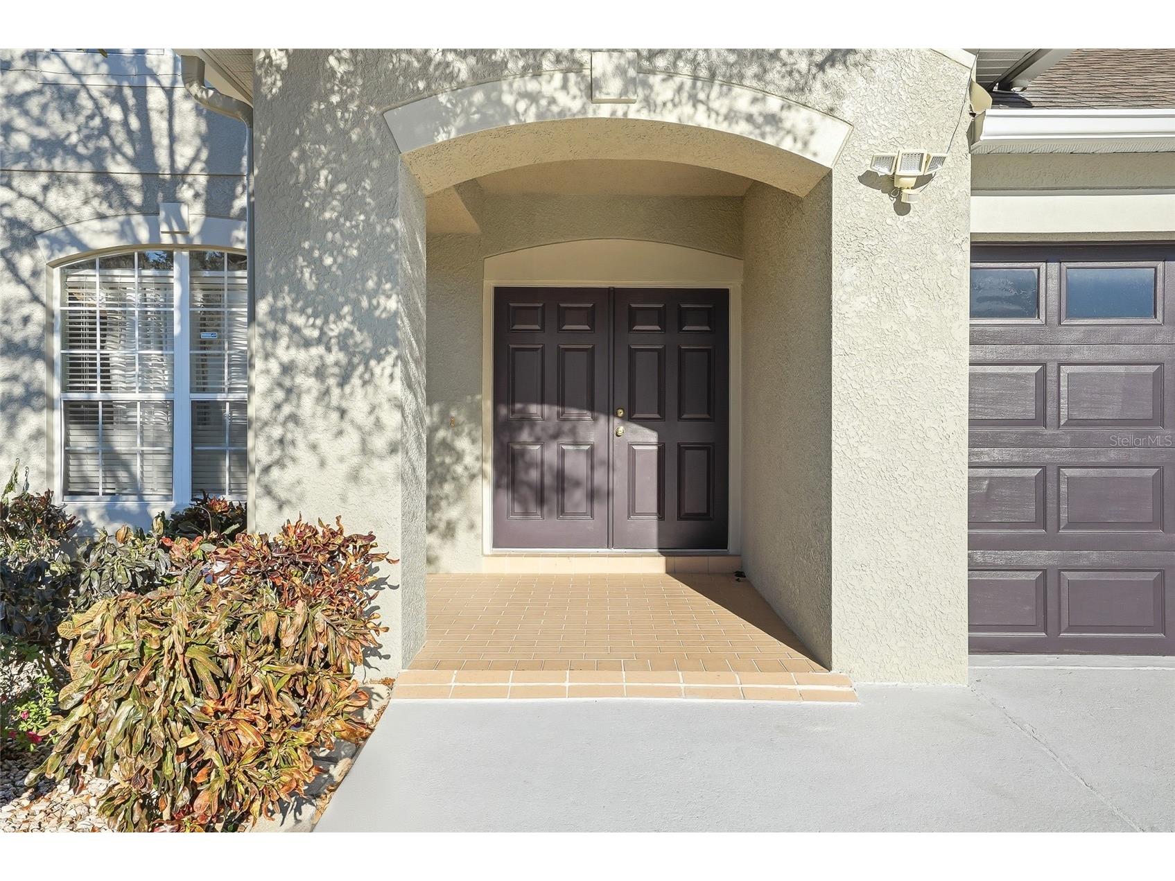 19017 Sunterra Drive Land O Lakes FL 34638 TB8435826 image8