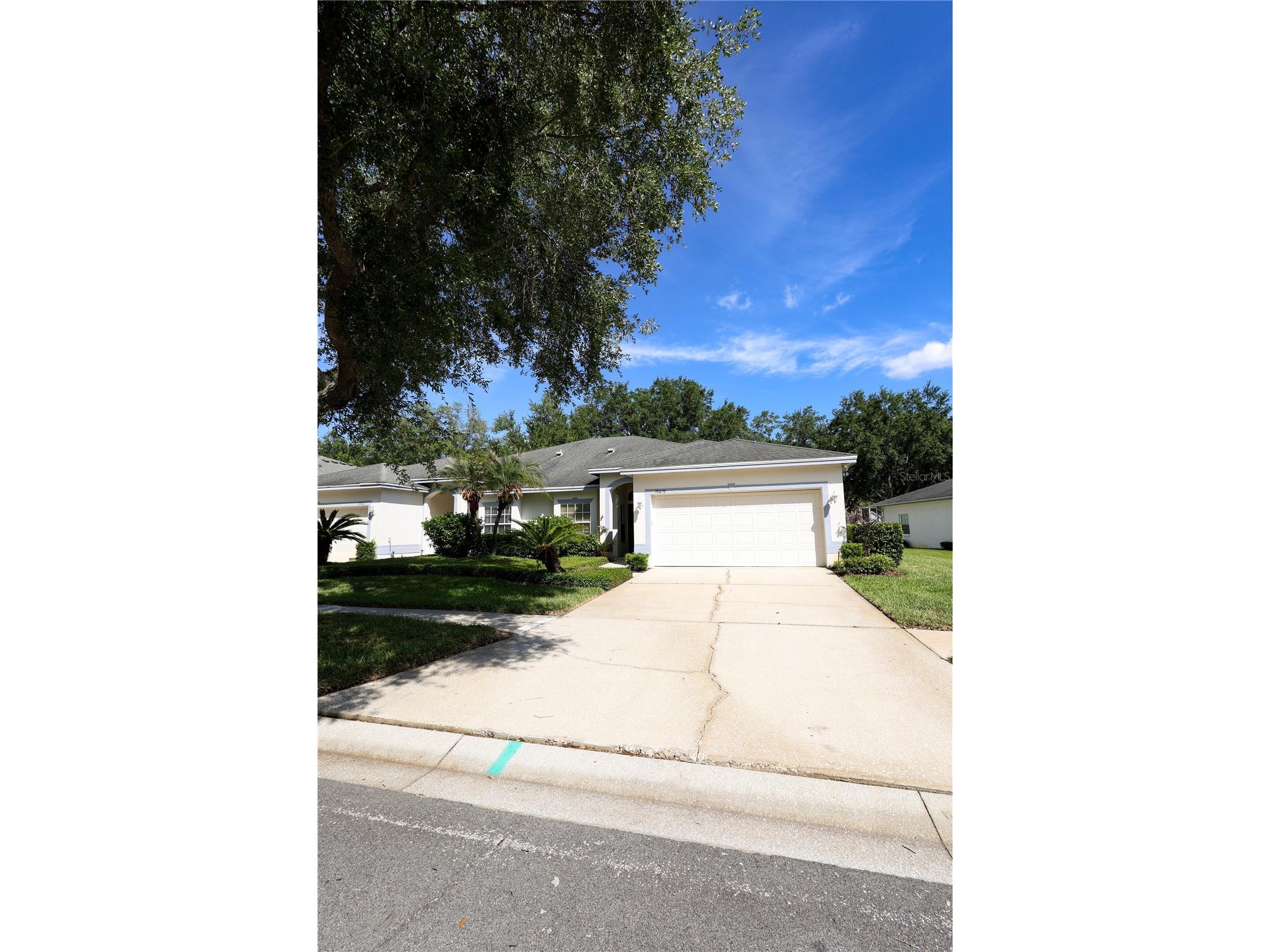 19019 Callaway Court #39 Tampa FL 33647 OM724568 image1