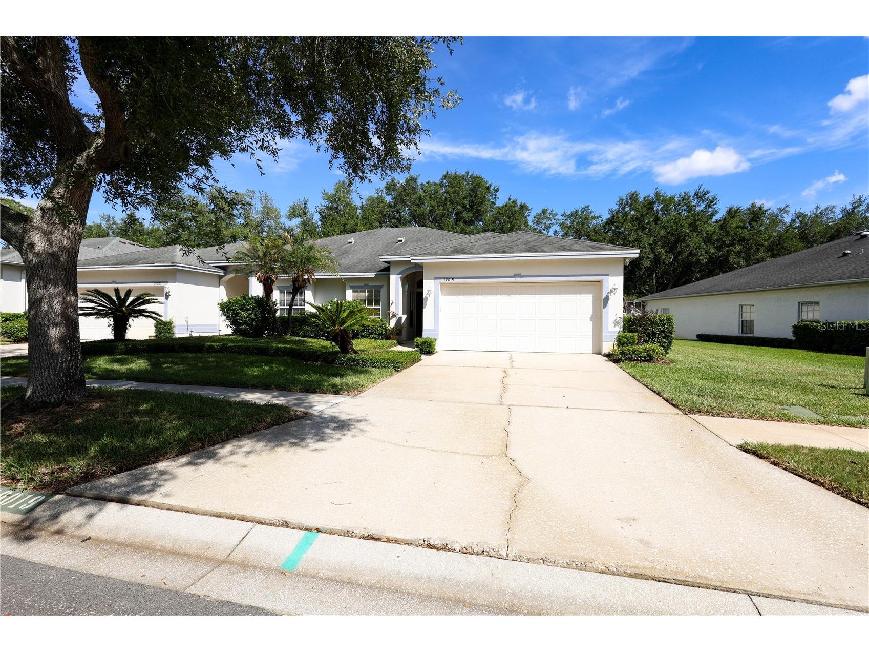 19019 Callaway Court #39 Tampa FL 33647 OM724568 image2