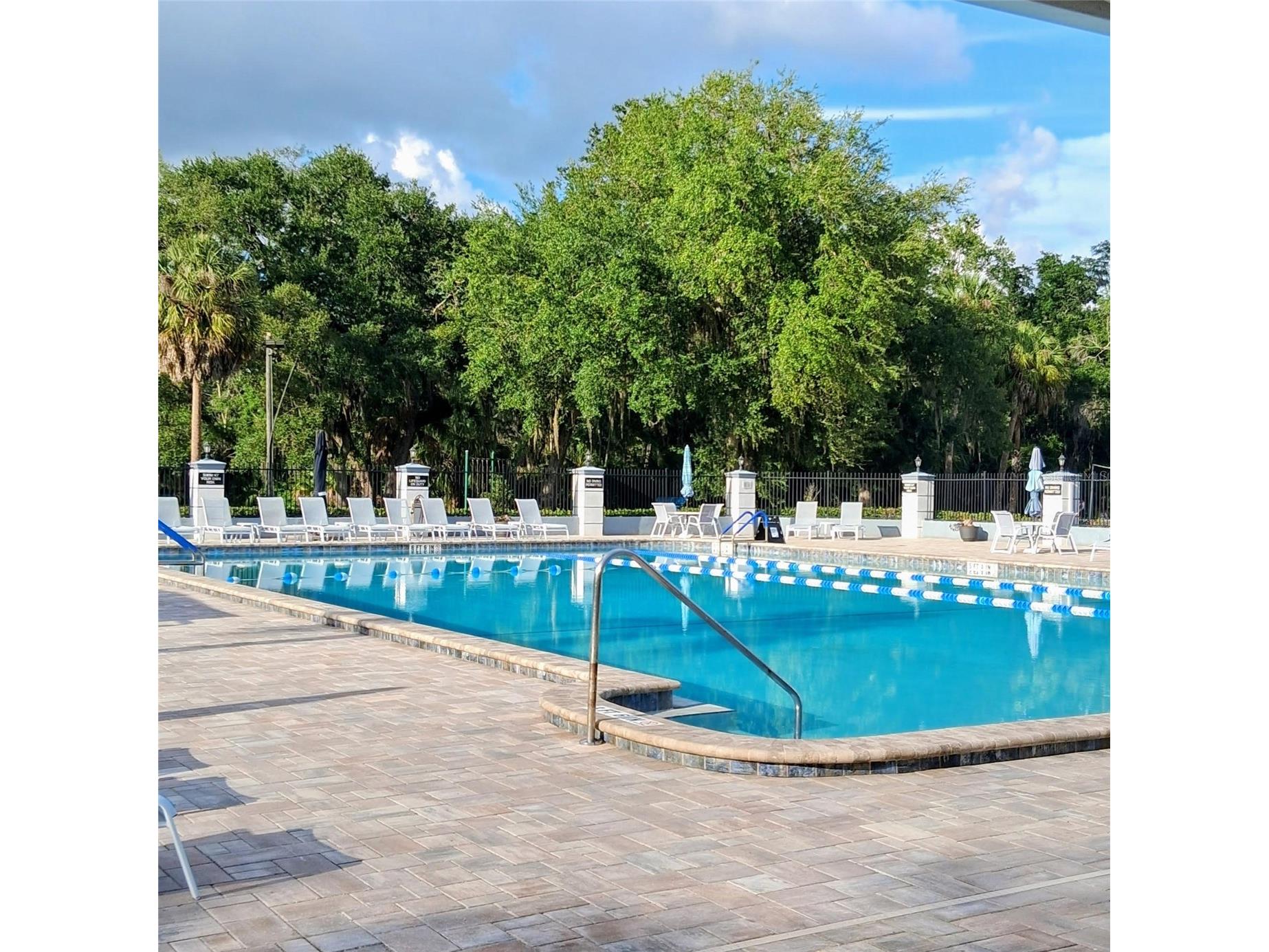 19019 Callaway Court #39 Tampa FL 33647 OM724568 image33