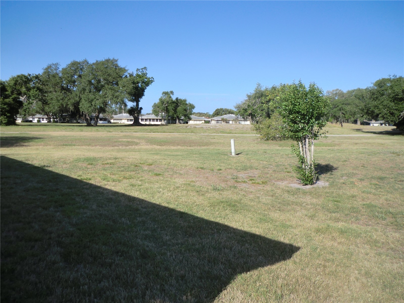 1902 Andover Street #203 Sun City Center FL 33573 TB8500582 image3
