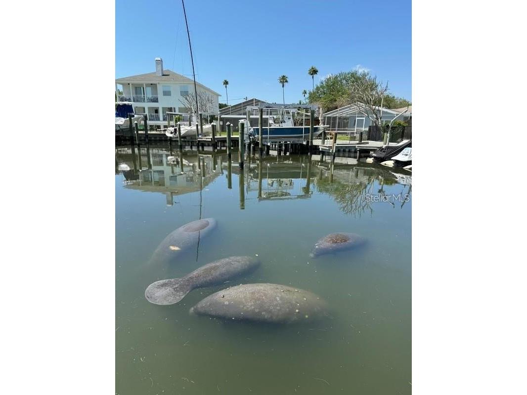 1902 Arrowhead Drive NE Saint Petersburg FL 33703 TB8469860 image45