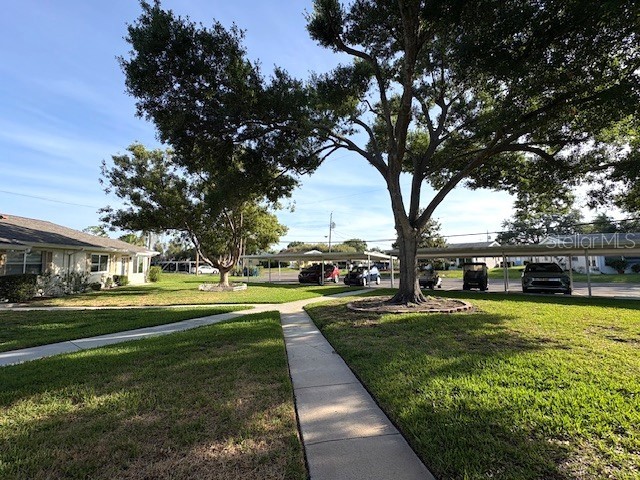 1902 Dandridge Street #12 Sun City Center FL 33573 TB8453890 image28