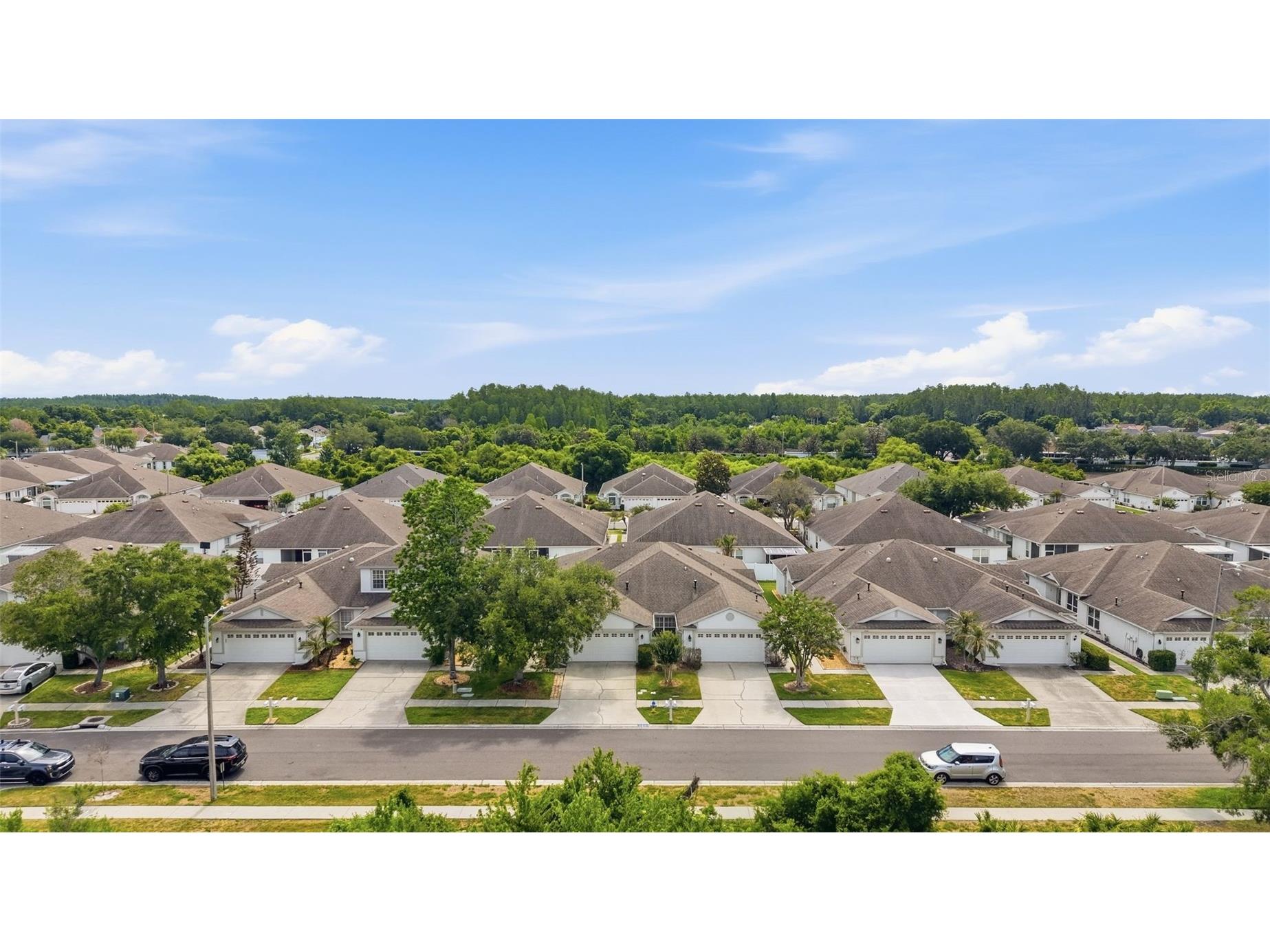 1902 Echo Pond Place Wesley Chapel FL 33543 TB8506413 image38