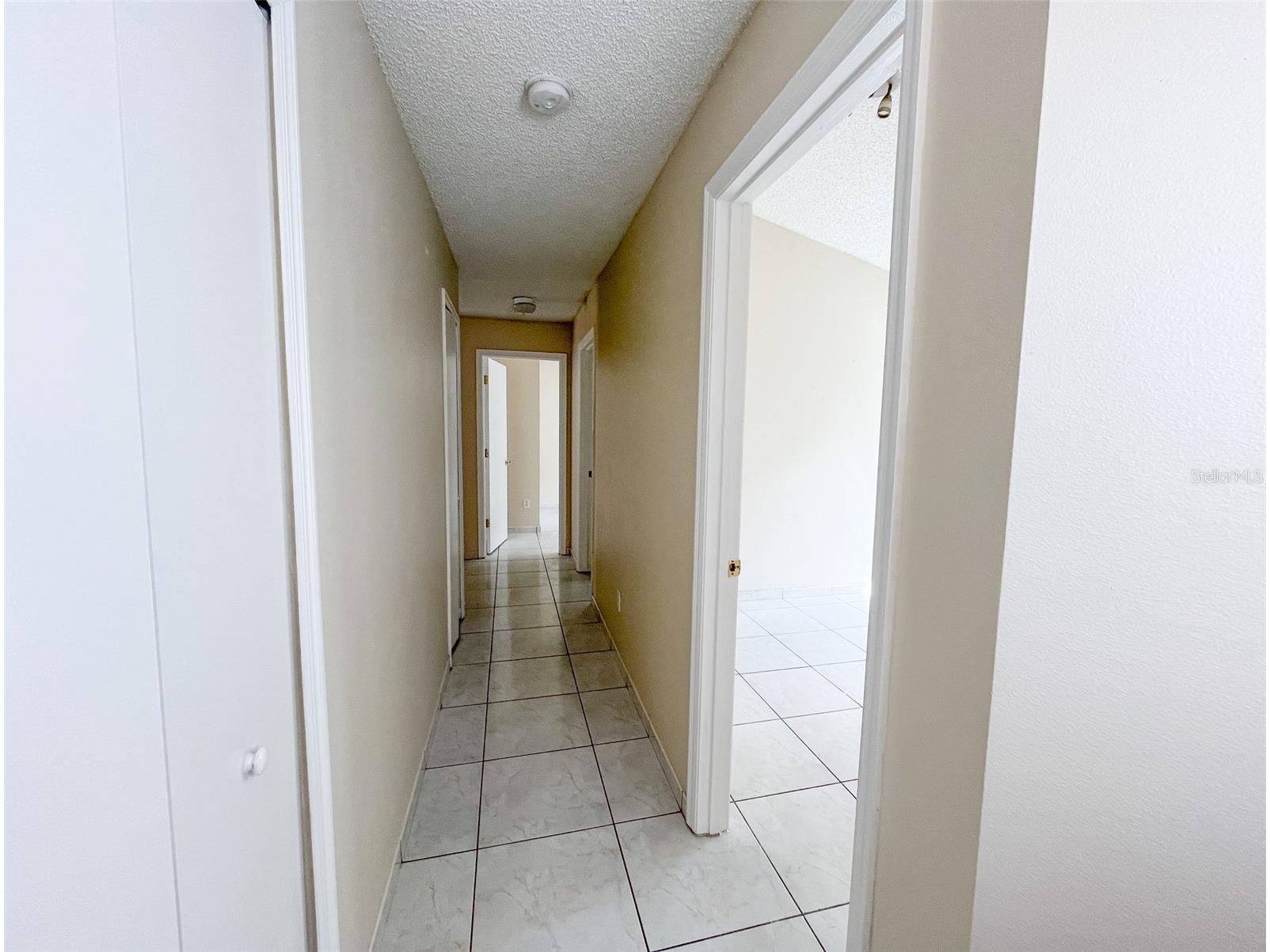 1902 Palmetto Pine Lane Orlando FL 32826 O6387515 image24