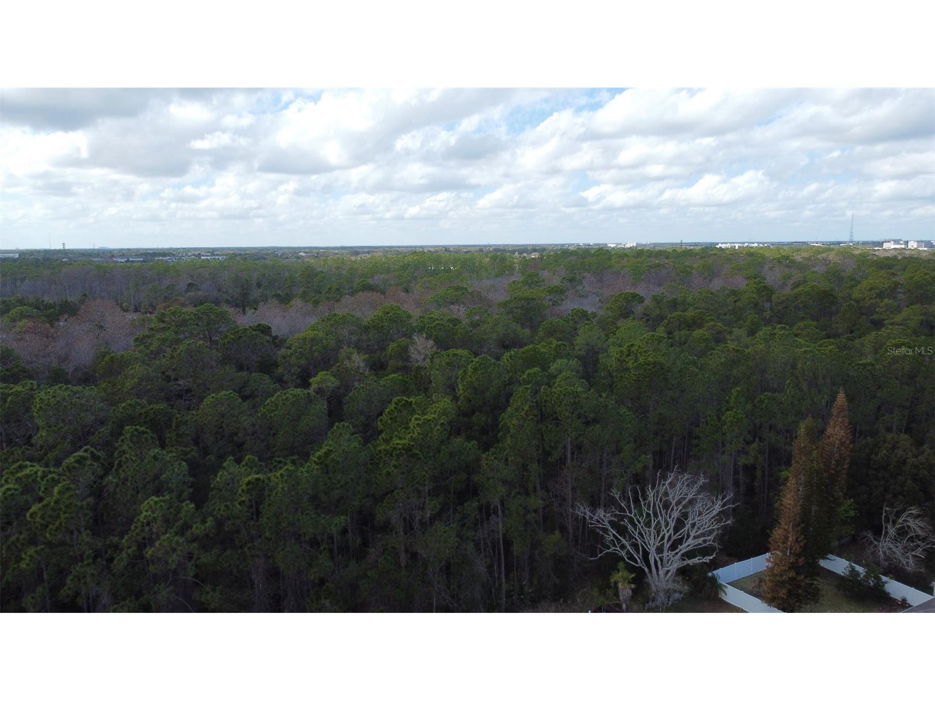 1902 Palmetto Pine Lane Orlando FL 32826 O6387515 image36