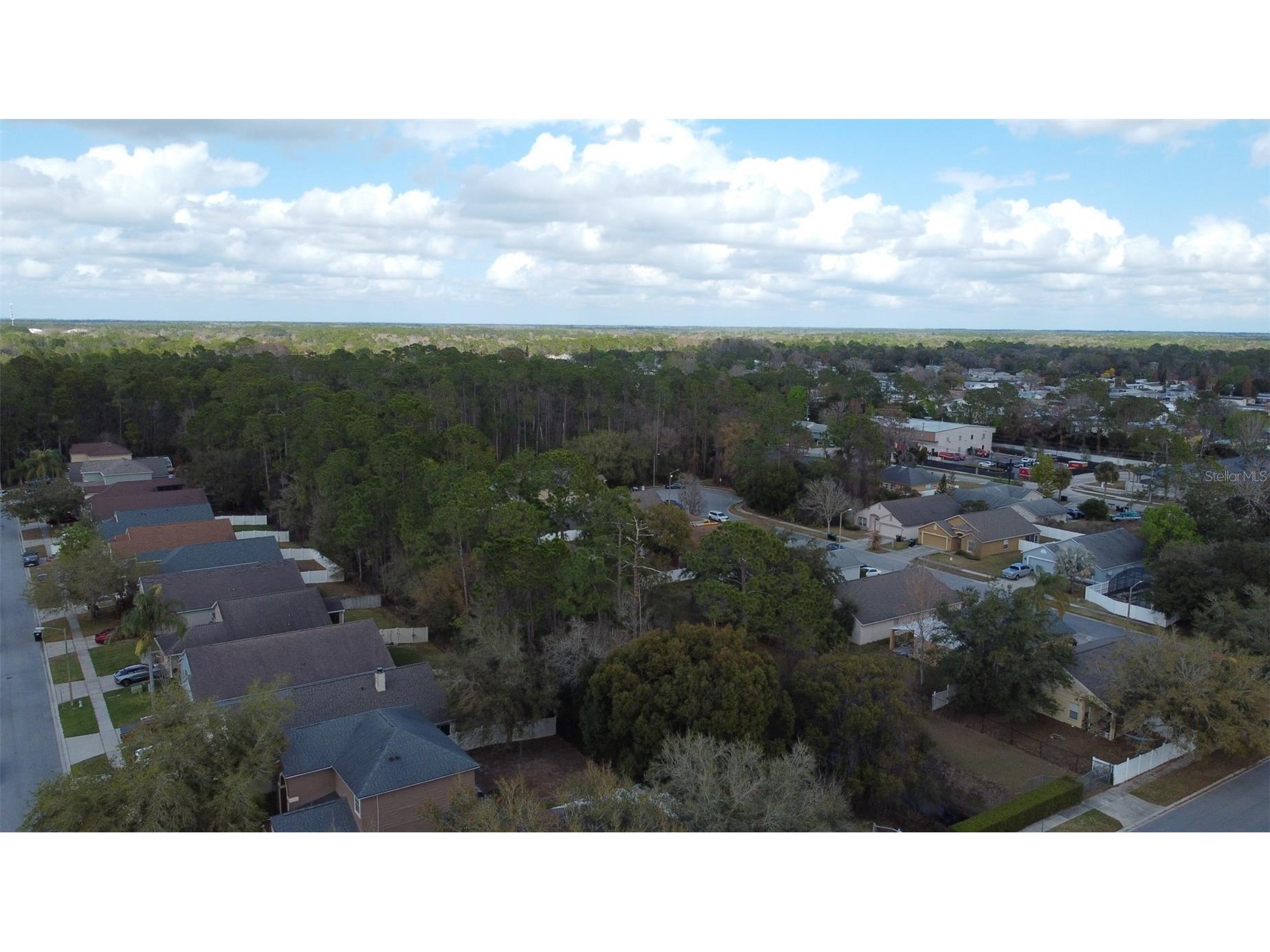 1902 Palmetto Pine Lane Orlando FL 32826 O6387515 image38