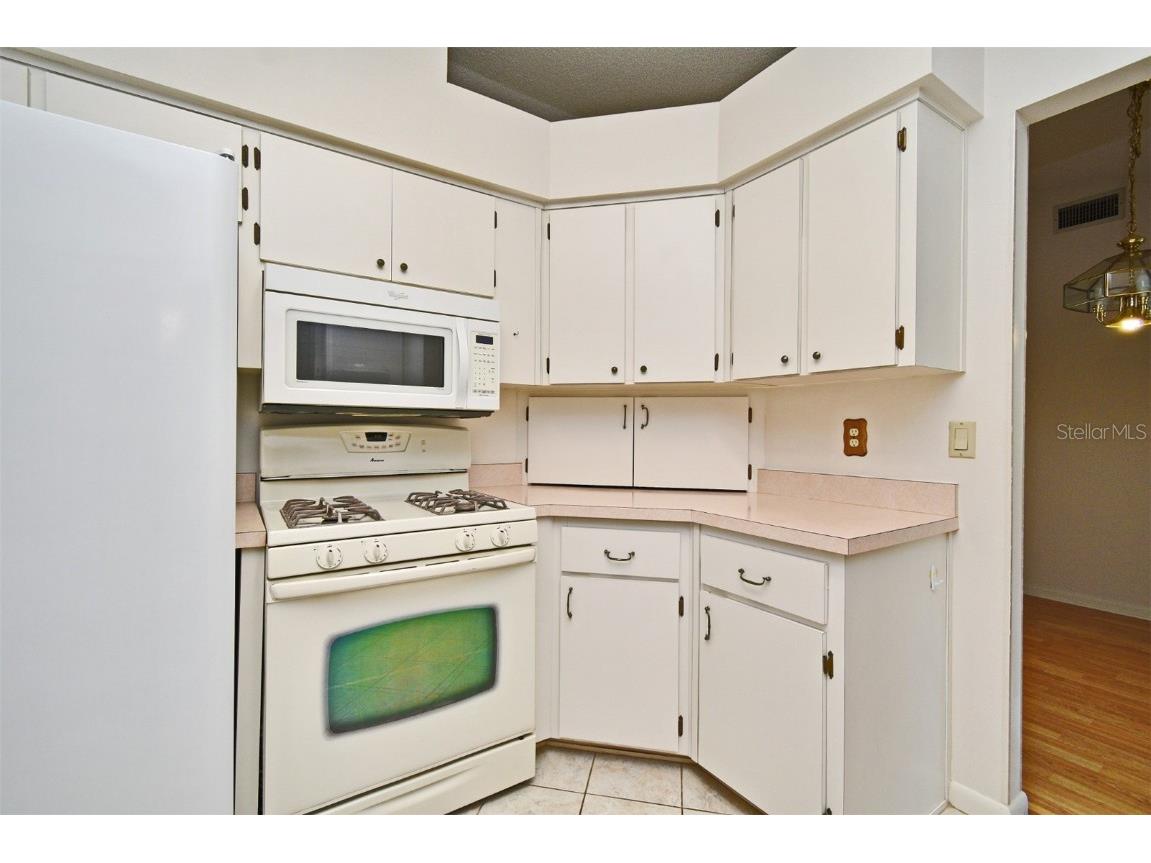 1902 Tweed Court Leesburg FL 34788 V4943763 image20