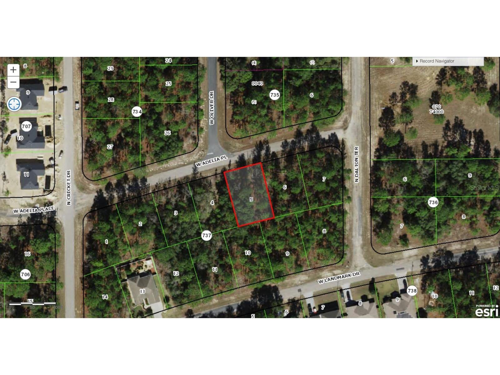 1902 W Adelia Place Citrus Springs FL 34434 O6421462 image43