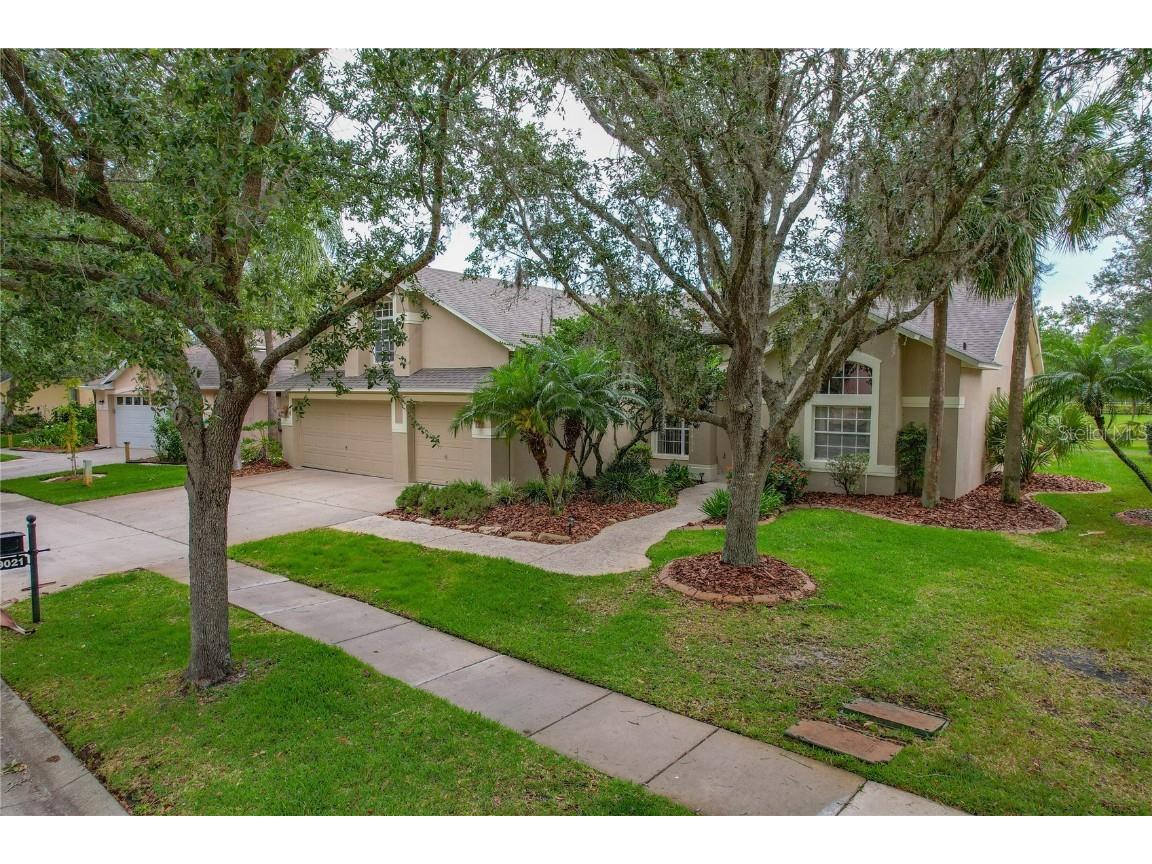19021 Dove Creek Drive Tampa FL 33647 T3443342 image1